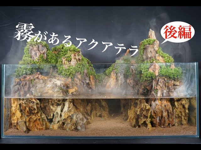 アクアテラリウム 気孔石 No.5-no.4set アクアテラリウム 気孔石 No.5