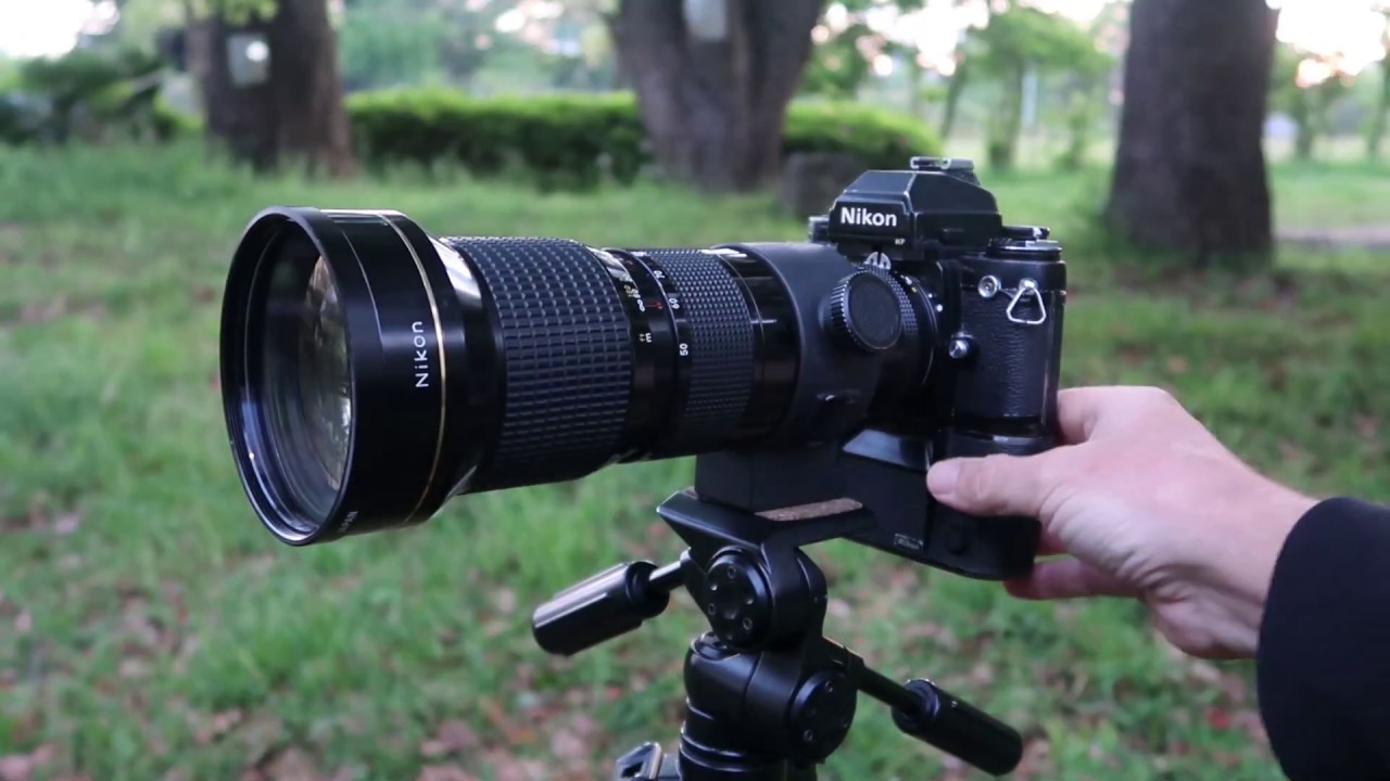 ⭐️NikonD300＋Nikon 単焦点レンズ AI 50 f/1.4S Nikon Nikkor 50