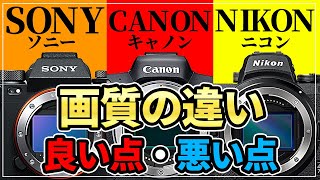 Manufacturer Comparison: SONY, CANON, NIKON Image Quality, Pros