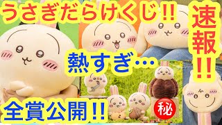 うさぎだらけくじ 118点 まとめ ほぼロット マスコット ぬいぐるみ