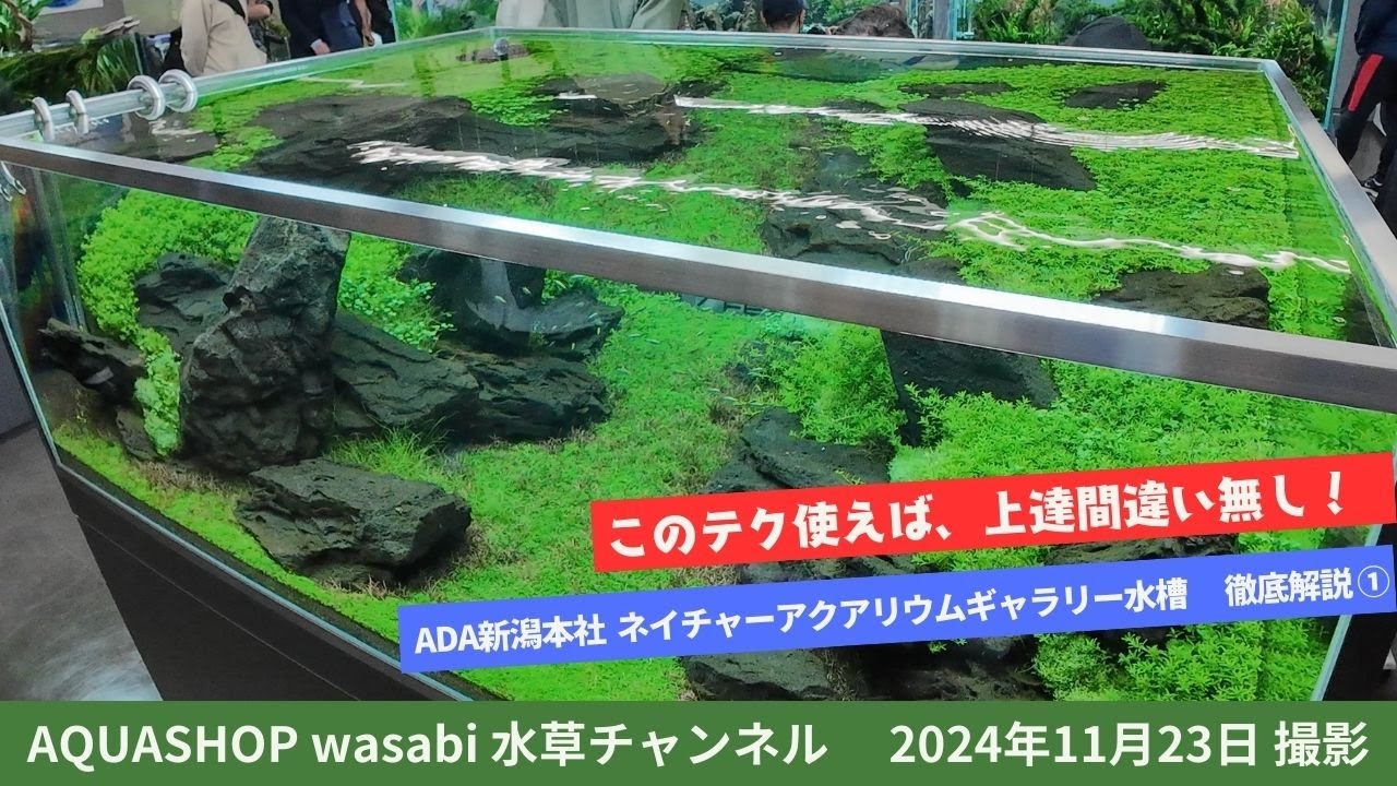 水草育成 ADA ONLY ADA 水草水槽の管理方法 ADA方式の分析 - THE 2HR