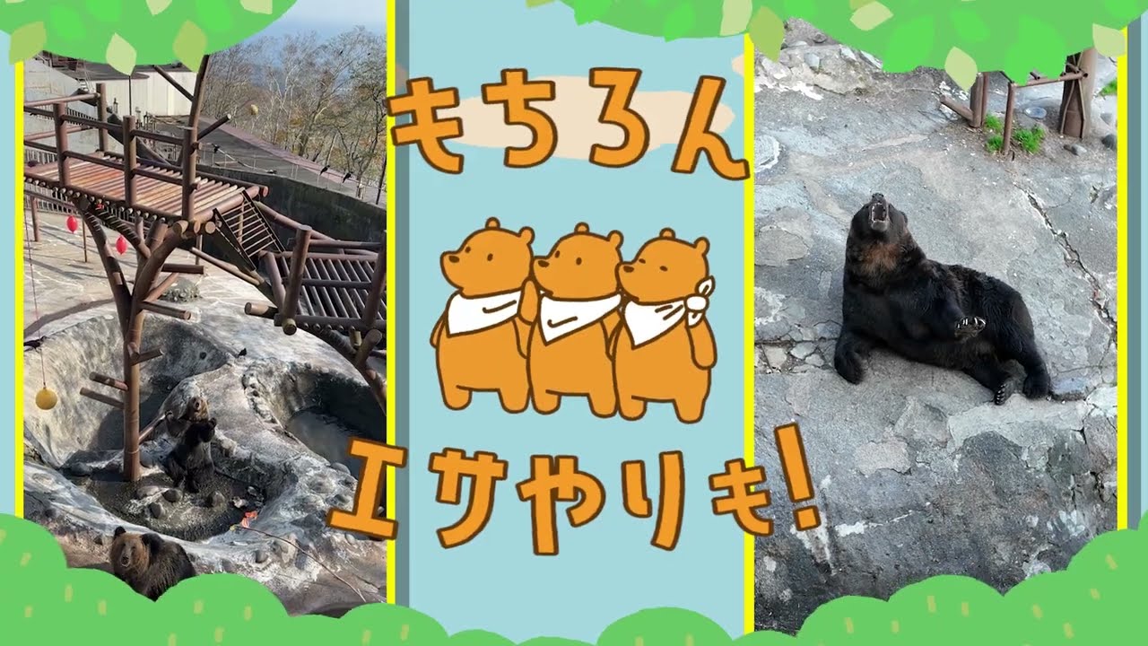 Noboribetsu Bear Ranch CM Exciting Edition - YouTube