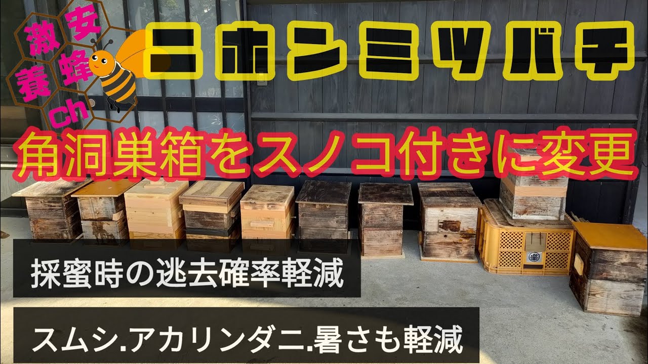 日本みつばち重箱式5段巣箱 厚み30mm 底板2パターン 暑さ対策 スムシ