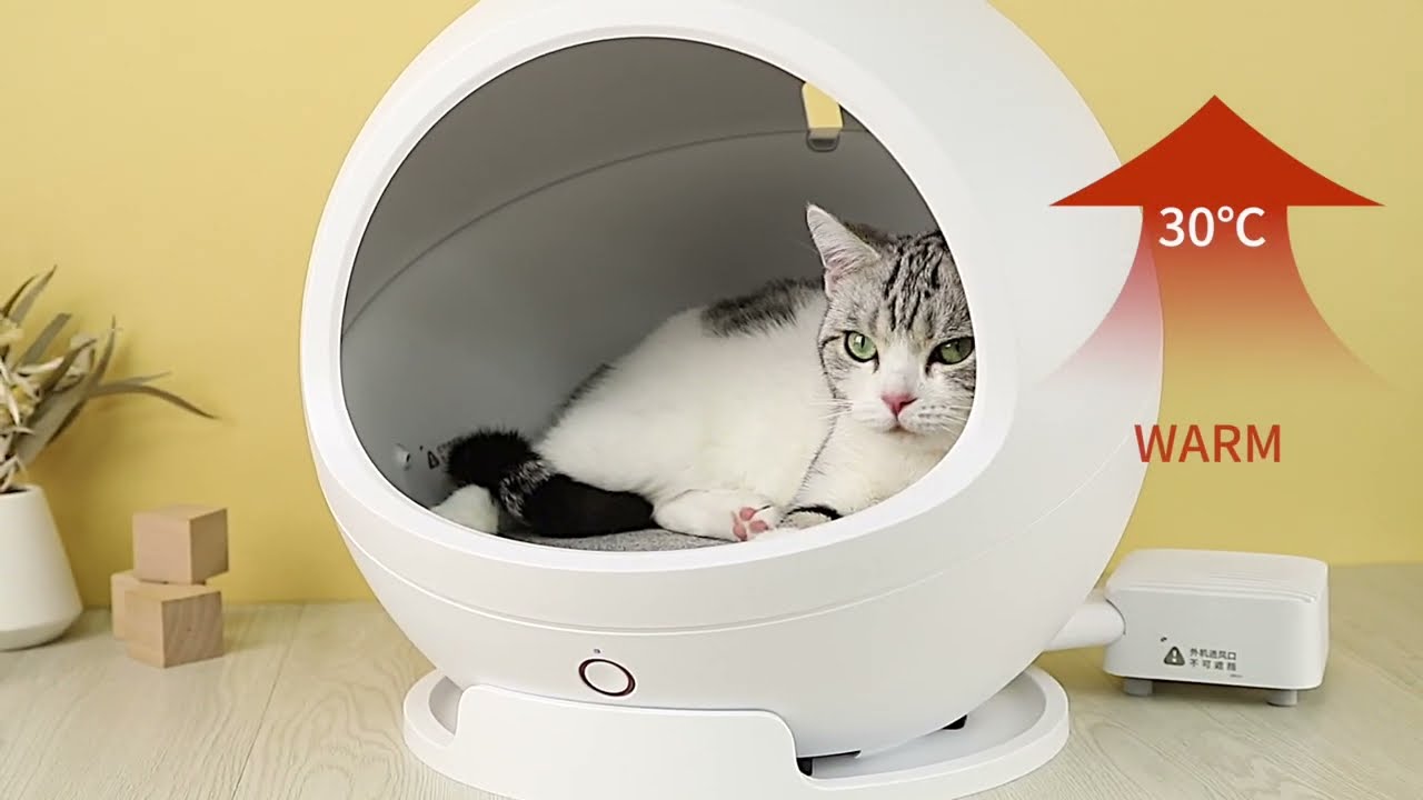 PETKIT Cozy Warm & Cool Smart Pet House - YouTube