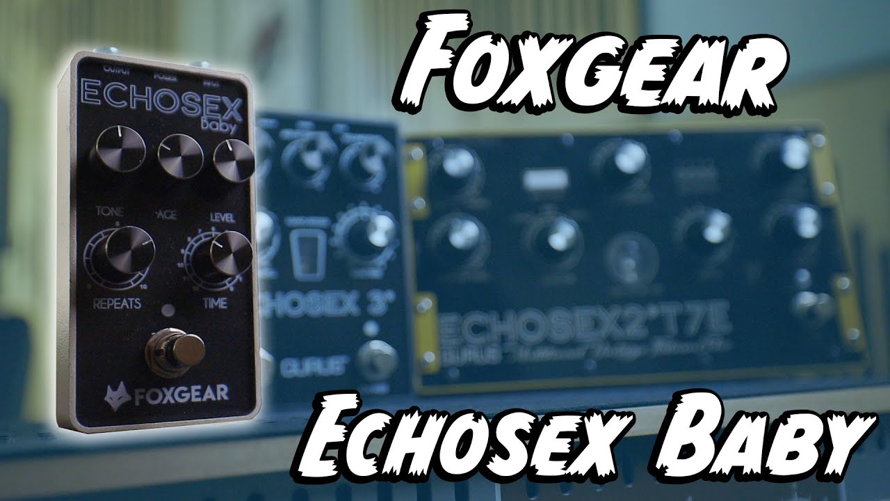 Tape Echo In A Box! Foxgear Echosex Baby! - YouTube