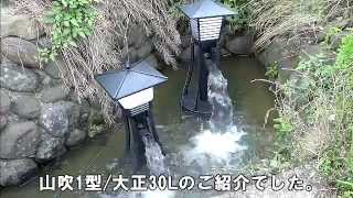 ゼンスイ ウォータークリーナー用 軸受 (錦10M・山吹1型用) : ミナト