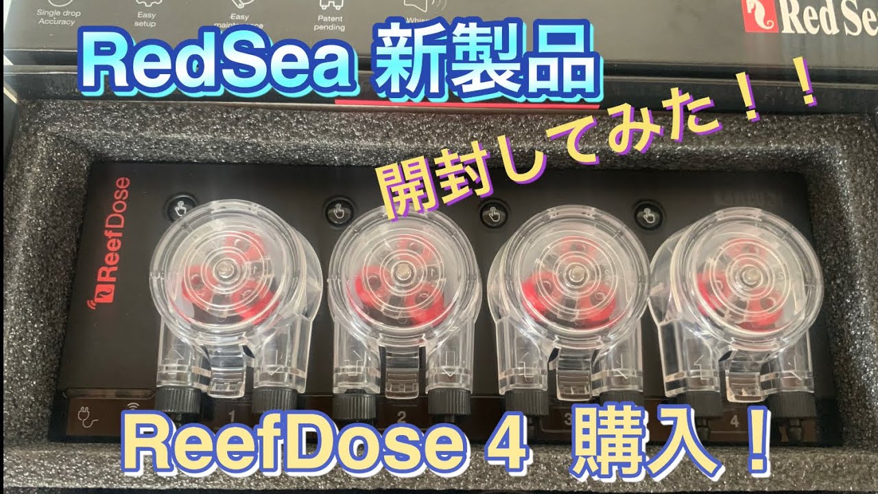 RedSea 新製品 ReefDose 4 購入開封 飼育機材紹介 【海水魚.サンゴ水槽