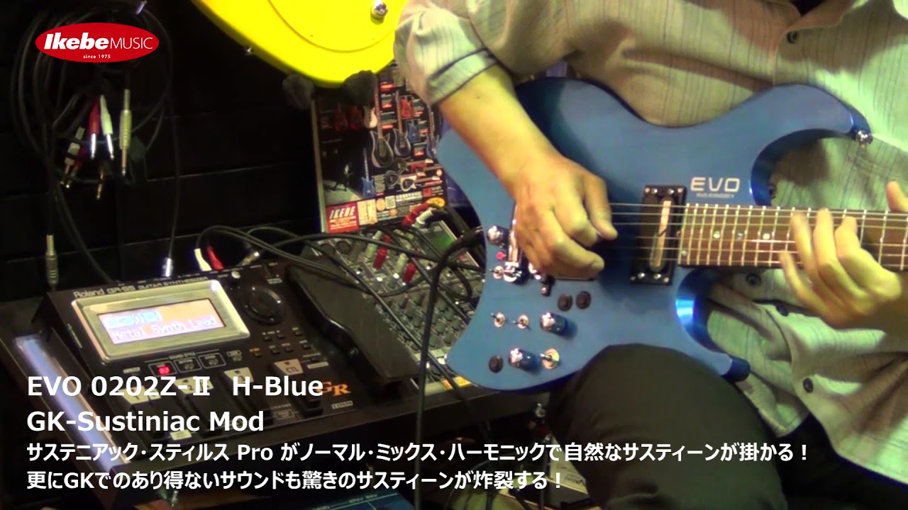 EVO 0202Z-Ⅱ H-Blue GK-Sustiniac Mod【グランディ＆ジャングル
