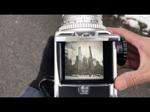 Hasselblad 500cm 50mm Distagon - Behind The Camera: Central Park 2