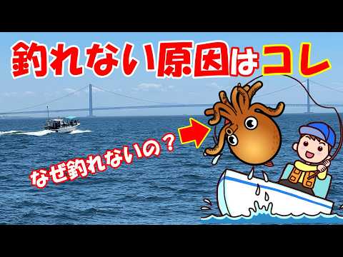 This is the reason why you can't catch any octopus! - YouTube