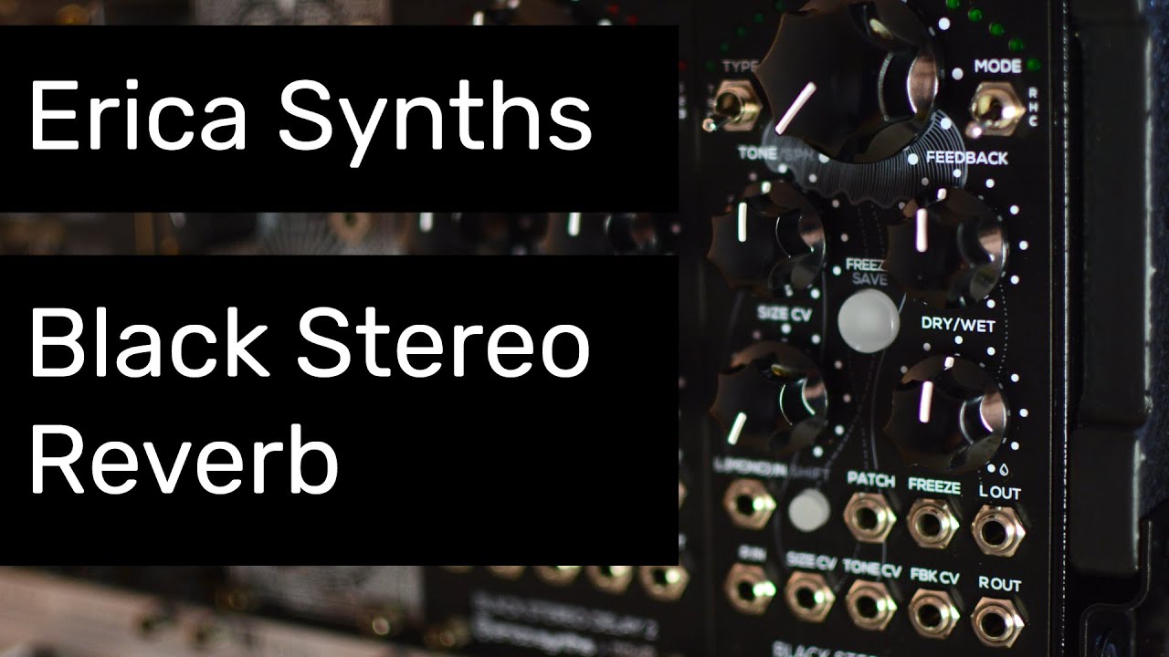 鍵盤楽器 Erica Synths Black Stereo Reverb Erica Erica Synths Black