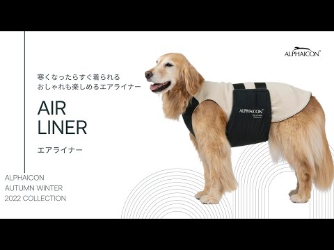 AW22 NEW COLLECTION AIR LINER - YouTube
