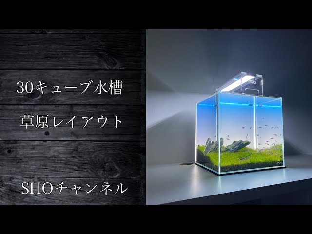 ADA 30cmキューブ&アクアスカイ301Gセット コロラドサンド 付き