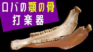 ラテン音楽の打楽器 キハーダ Quijada - YouTube