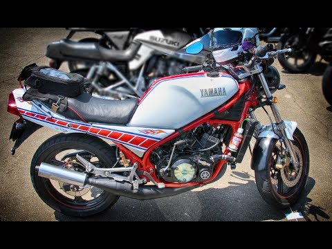 RZ250R RZR おむすびテール おにぎりテール テールランプ 純正