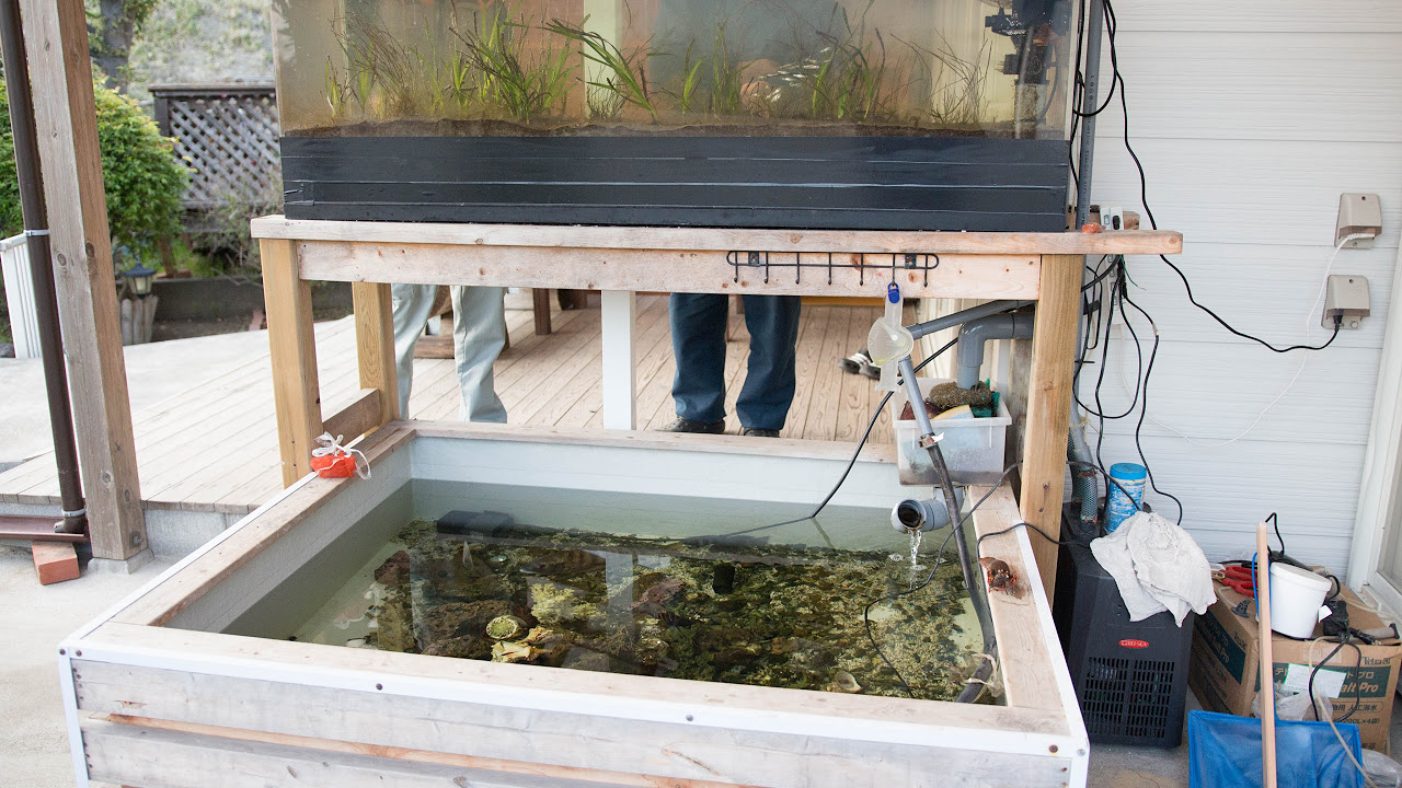 世界初の特許！水換え不要】6年以上水換えをしていない海水ビオトープ