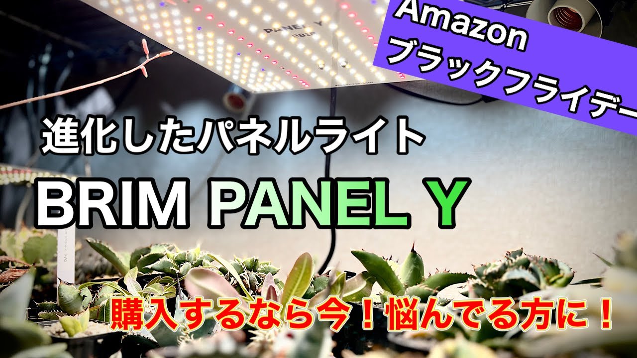 LED Grow Light] Review of BRIM PANEL Y! This is the grow light we