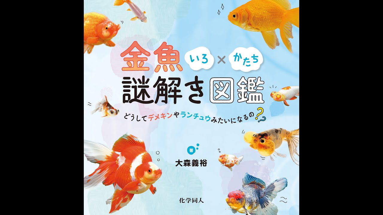 金魚いろ×かたち謎解き図鑑 - 株式会社 化学同人