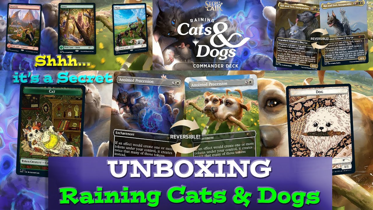 Commander Deck: Raining Cats and Dogs未開封 Commander Deck