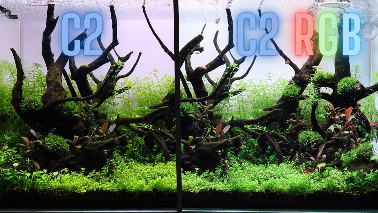 Chihiros C2 vs Chihiros C2 RGB! Perfect LED LIGHT For Nano