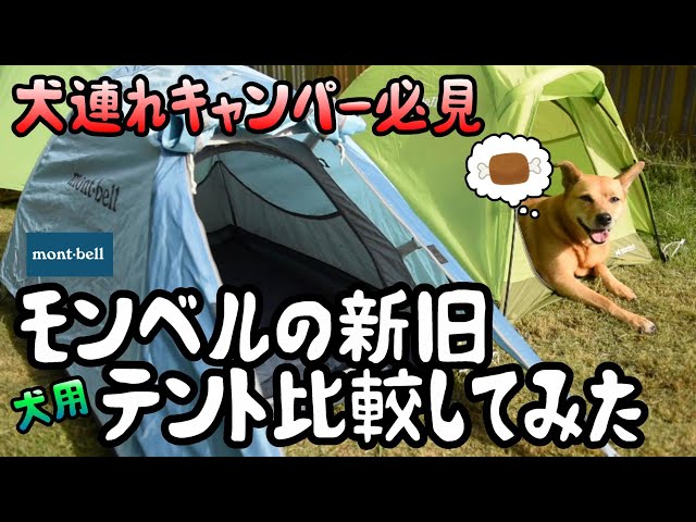 犬連れキャンパー】めちゃくちゃかわいいモンベルの犬用テント🐶新作が