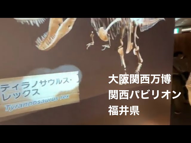 限定】大阪・関西万博 福井県（関西パビリオン） 恐竜 ピンバッジ 限定