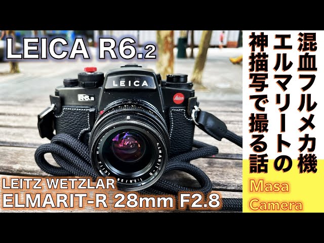 フィルムカメラ/オールドレンズ】Leica R6.2 & ELMARIT-R 28mm F2.8