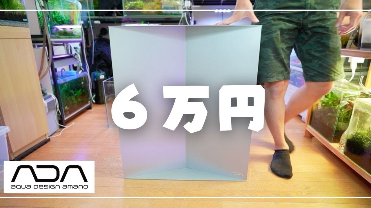 家族も驚愕】完全受注生産の水槽台ADAメタルキャビネットが我が家に