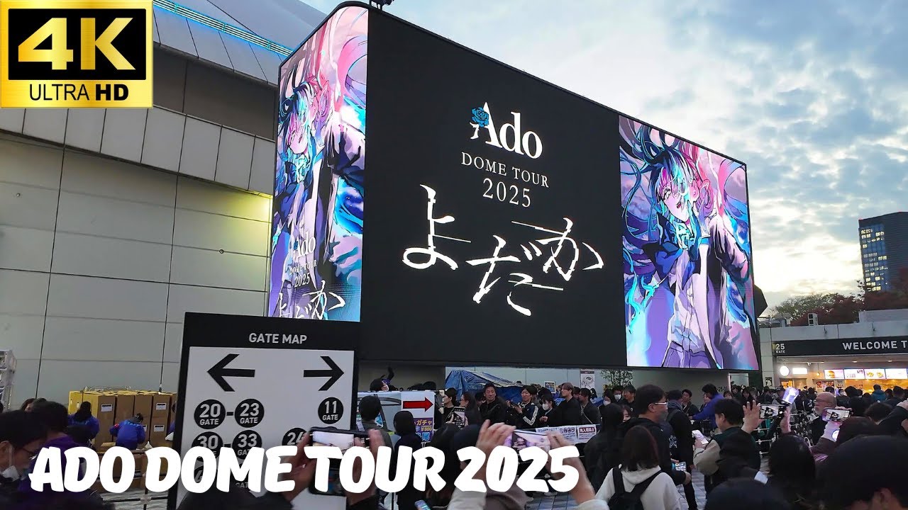 Ado DOME TOUR よだか ファッショナブルフーディー XXL 特大 Ado DOME