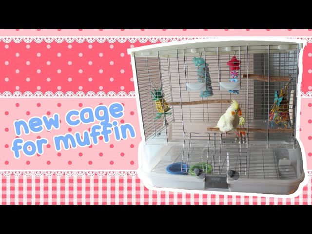 Muffins Has A New Cage Setup - Vision Bird Cage Model M01, Medium