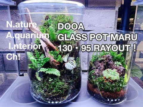 DOOA GLASS POT MARU 130・95 LAYOUT！ - YouTube