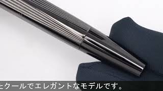 CARAN d'ACHE カランダッシュ 万年筆 RNX.316 PVDブラック F - YouTube