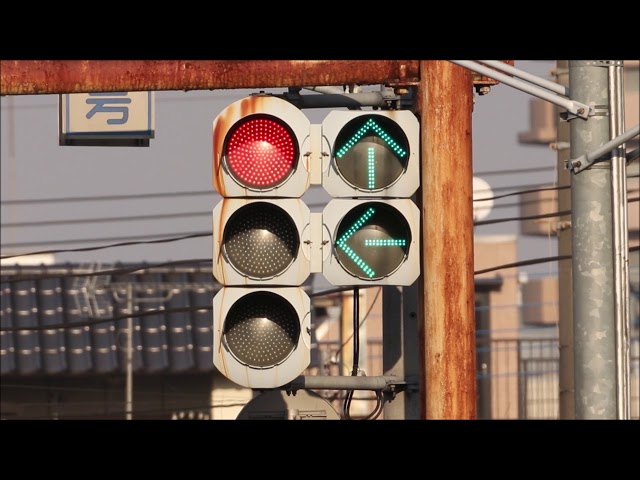 ダブル変則矢印！】脇田新町交差点の珍しい信号機【埼玉県の信号機⑳