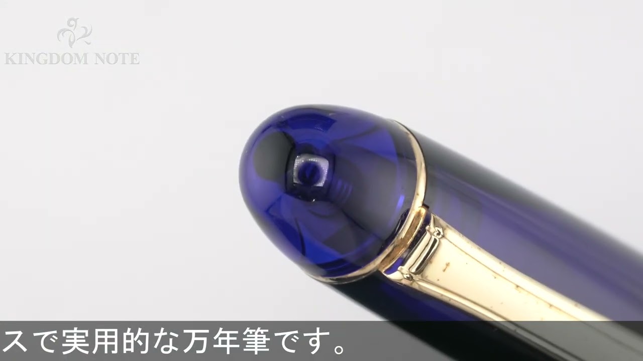 PLATINUM プラチナ 万年筆 #3776 センチュリー シャルトルブルー PNB