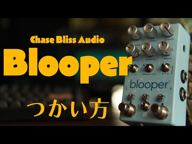 個性派ルーパーChase Bliss Audio Blooper！何ができるかを簡単に解説