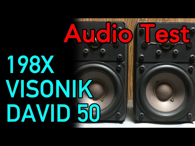 198x VISONIK DAVID 50・まさに小さな巨人、鈍器系スピーカーの逸品を
