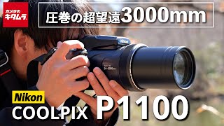 Nikon ニコン COOLPIX P1000 液晶不良 撮影可能 修理】一度もカメラを