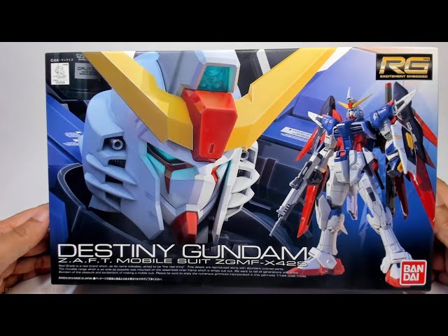 Real Grade #11- ZGMF-X42S Destiny Gundam - Part 1 [1/144 RG Bandai