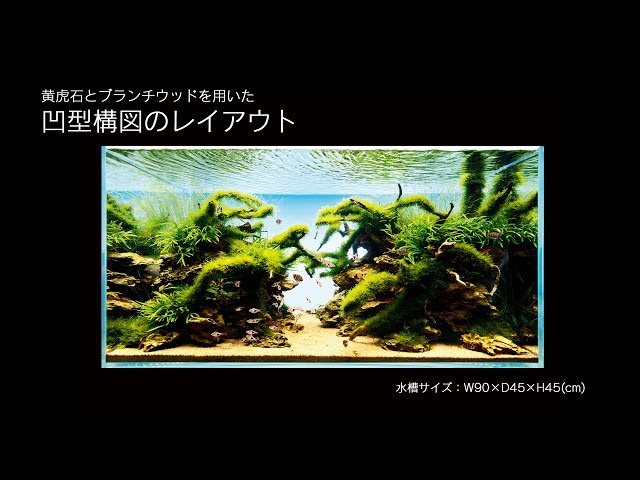 1[特大]ADA 黄虎石 約3.7キロ☆水槽 レイアウト アクアリウム 気孔石