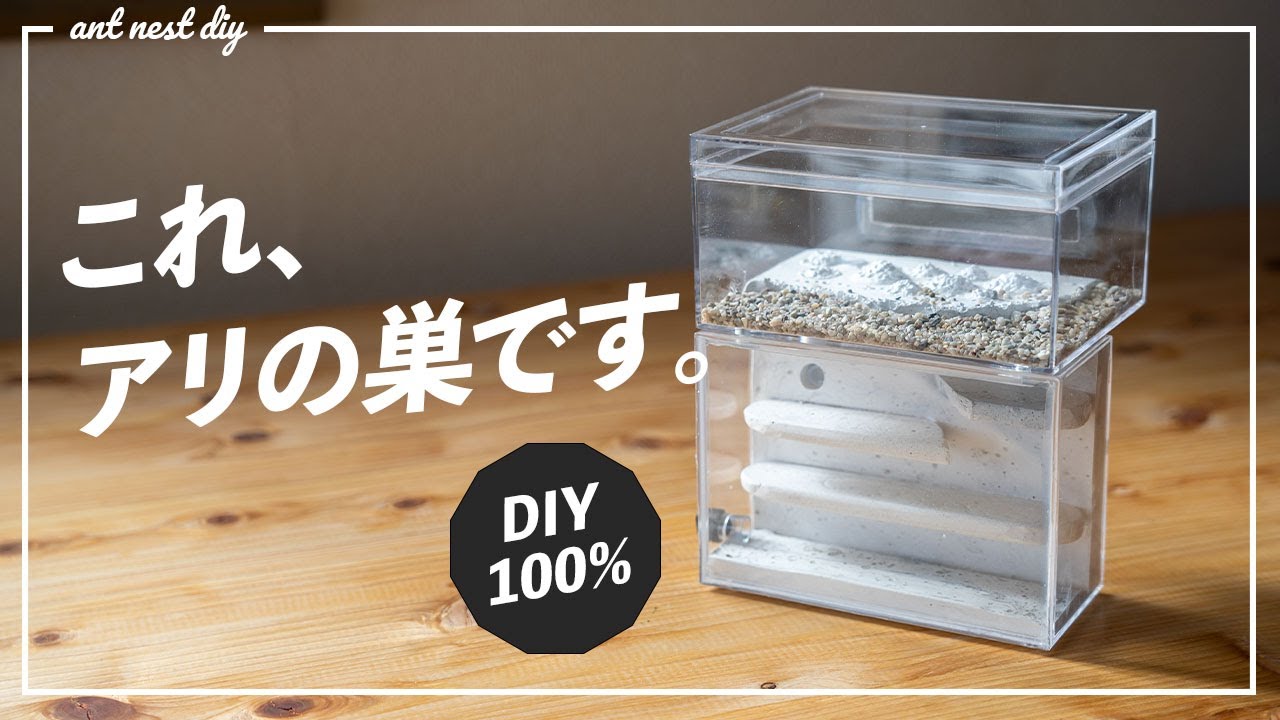 アリ 蟻 飼育ケース 巣 家 手作り 【公式通販】
