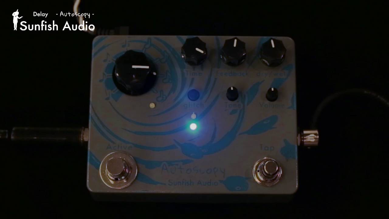 Sunfish Audio Delay “Autoscopy” 試奏 - YouTube