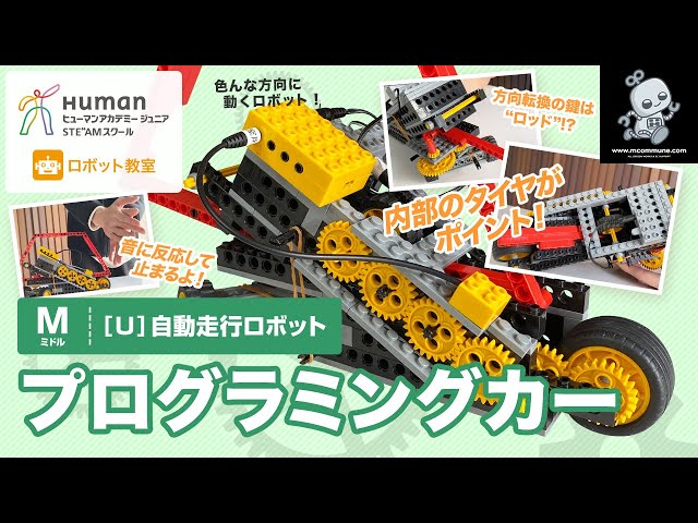 アウトレット 【2セット分】アドバンス ミドル ベーシック Human