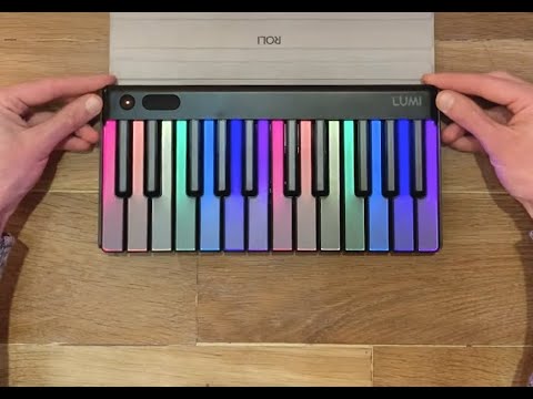 Roli LUMI Keys MIDIキーボード Snapcase付き ROLI LUMI Keys ×2 MPE