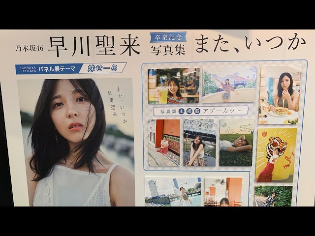 早川聖来 写真集 サイン入りパネル1 乃木坂46 早川聖来 卒業記念
