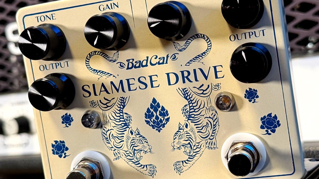 Bad Cat Siamese Drive - This Pedal BLOOMS!!! - YouTube