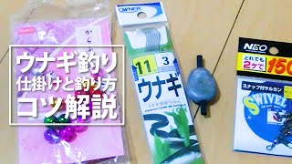 Explaining the tackle, fishing technique and tips for eel fishing