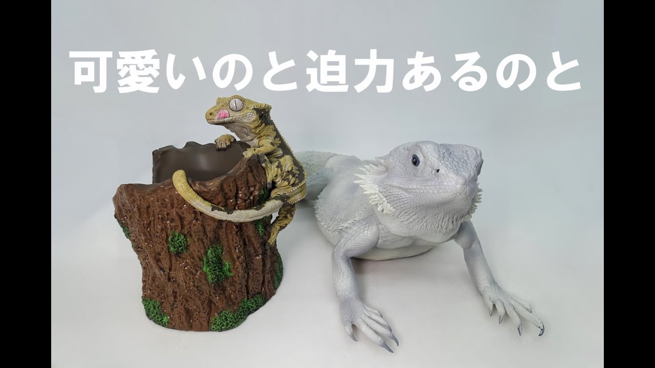 一番くじ】爬虫類＆両生類 vol.2 可愛いのと迫力あるものが当たりまし