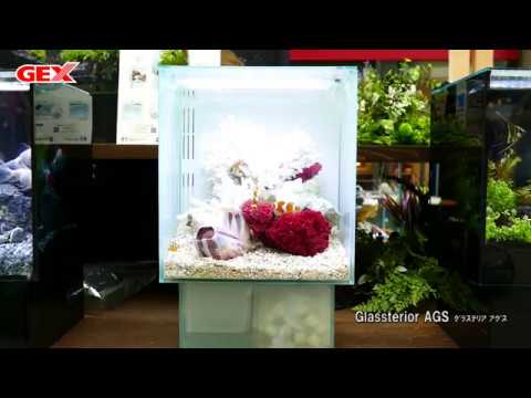 グラステリアAGS（アグス）ホワイト誕生！！4つのレイアウト！ - YouTube