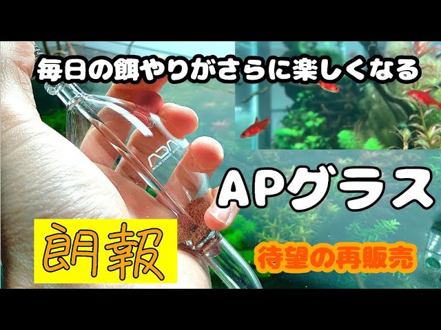 アクアリウム】朗報！餌やりがさらに楽しくなるAPグラス再販売 #アクア