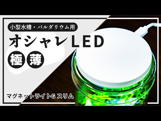 マグネットライトスタンド20H & ネオグラスエア、マグネットライトG